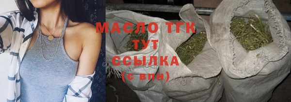 спиды Богородицк