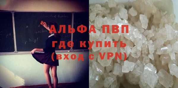 гидра Богданович