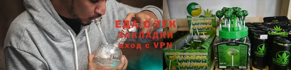 спиды Богородицк