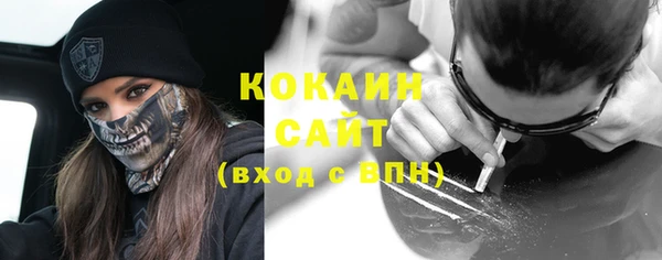 спиды Богородицк