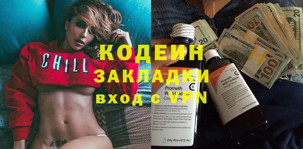 спиды Богородицк