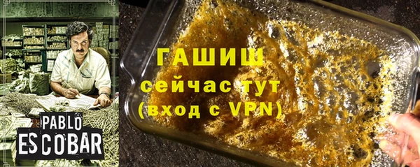 гидра Богданович