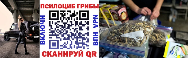 Галлюциногенные грибы Cubensis  Велиж 